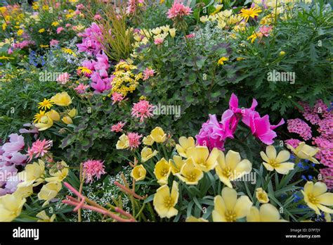 Image result for Spring Flower Garden