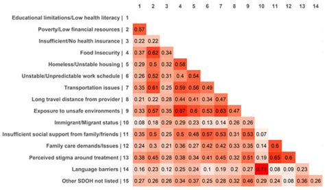Healthcare Provider Reports on Social Determinants of Health in Opioid ...
