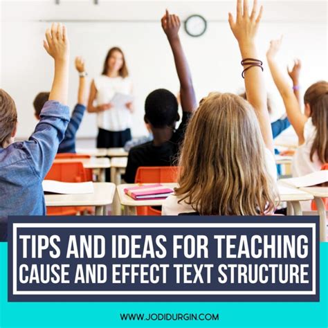 Image result for Text Structure Paragraph Example