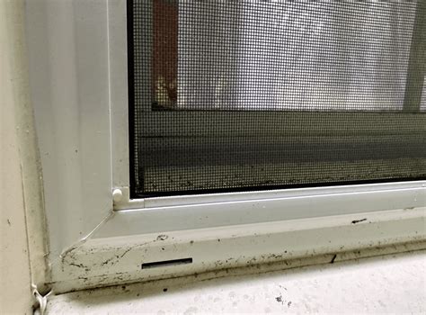 How to Remove Screen On Window 的图像结果