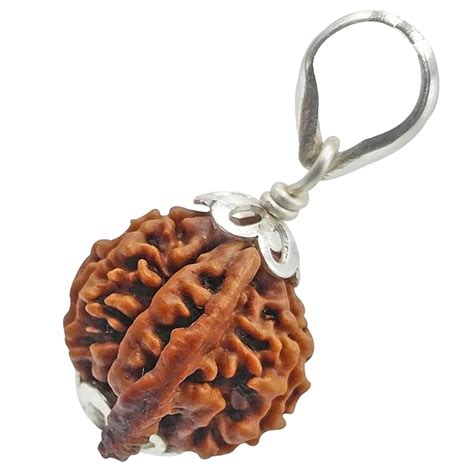 Lyvra Natural 7 Mukhi Rudraksha | 7 Faced Nepali Rudraksha for Positive ...