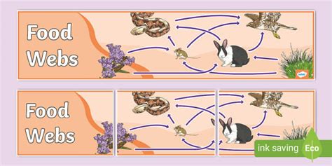 Food Webs Display Banner, Food Web (teacher made) - Twinkl