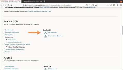 Image result for Java Oracle 11
