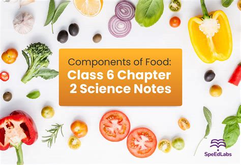 Image result for Science Class 6 Chapter 2 Components of Food
