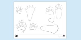 Animal Footprint Cut Outs (teacher made) - Twinkl