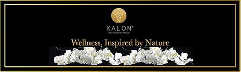 Kalon Signature Sidr Tree 100% Pure Honey - 400G - Pack of 1 : Amazon ...
