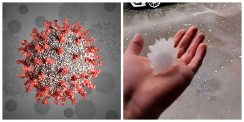 Mexican People Believe The Coronavirus Shaped Hailstones Are A Sign ...