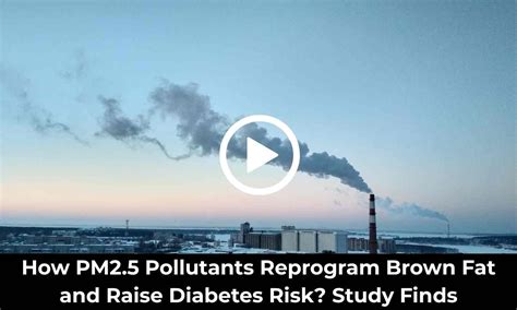 How PM2.5 Pollutants Reprogram Brown Fat and Raise Diabetes Risk? Study ...