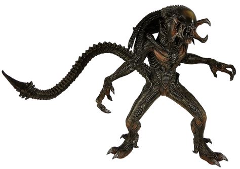 Image result for Alien Predalien