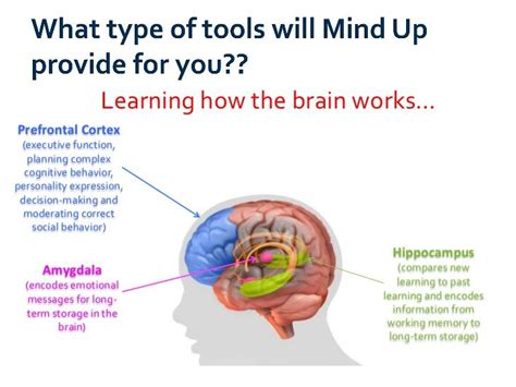 Image result for Tutorials Mind Up