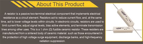 Electronic Spices 1 Ohm (Ω) 10 Watt Fusible Ceramic Cement Power ...
