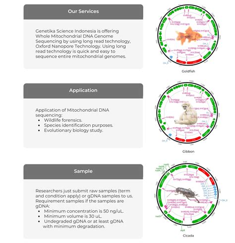 Image result for Metadata File DNA Sequencing