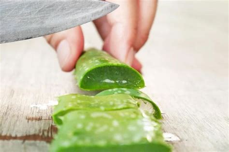 இயற்கையான அலோவேரா ஜெல்லை வீட்டிலேயே தயார் செய்வது எப்படி? | prepare ...
