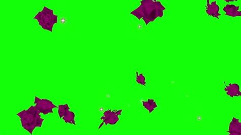 Image result for Red Particle Loop