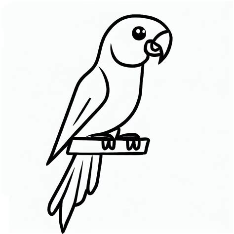 Image result for Parrot Picture Simple Tips