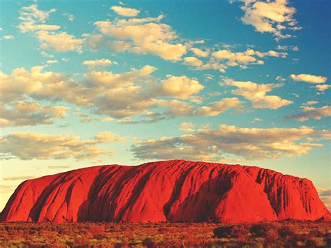 EMU RUN EXPERIENCE - DAY TOURS (2026) All You Need to Know BEFORE You ...