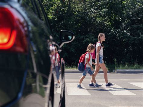 Crossroads and pedestrian crossing — lesson. Social Science, Class 6.