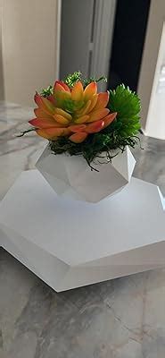 BandD Plant Pot for Succulents, air Bonsai & air Plants. India | Ubuy