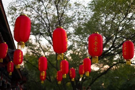 What Does Hermosa Mean and How Do You Use It? | Discover Discomfort