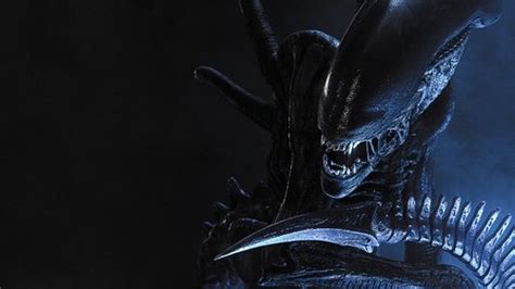 Image result for Alien vs Predator Cast