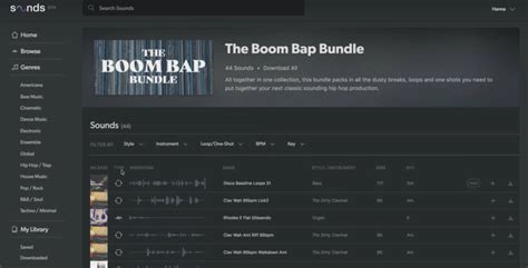 Native Instruments Sample 的图像结果