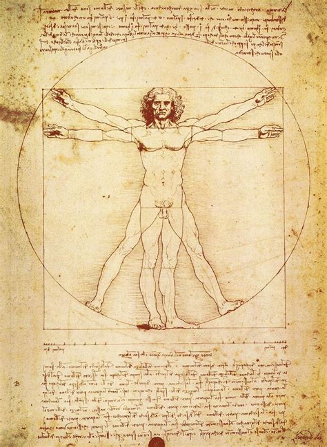 Buy 2 Pack - Vitruvian Man by Leonardo Da Vinci + Starry Night by ...