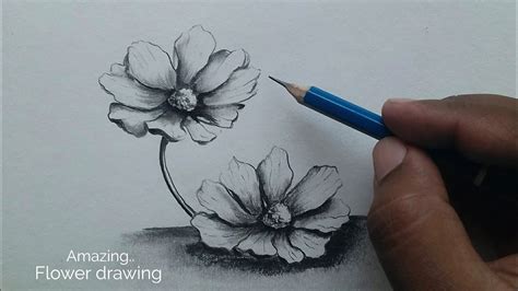Easy Flower Shading Drawing at Cameron Malone blog