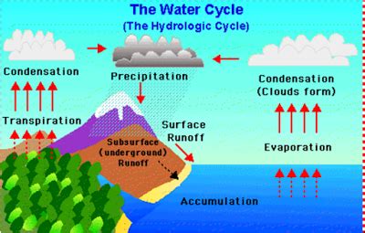 Sources Of Water Model For School Project | Water Resources Model | Water Sources Model