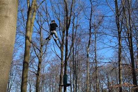 SPAFOREST (Spa) - 2022 What to Know Before You Go (with Photos)