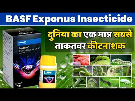 BASF Exponus Insecticide | बी ए एस एफ नया कीटनाशक लॉन्च | Broflanilide ...