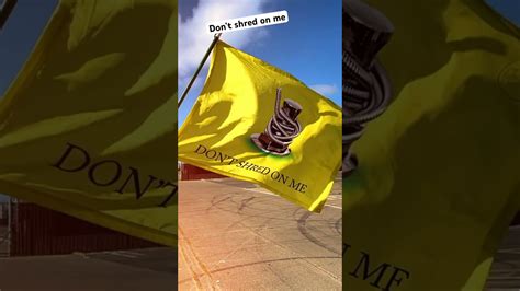 Image result for Exploding Green Chibson