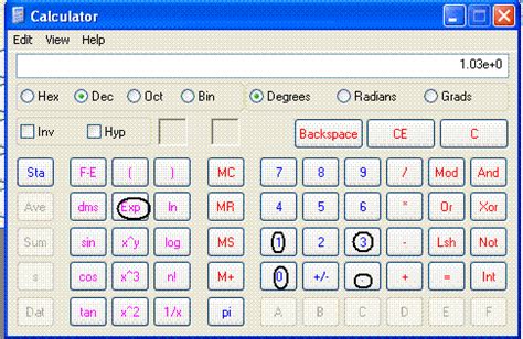 Exponential Model Calculator 的图像结果