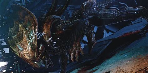 Image result for Alien Xenomorph Life Cycle