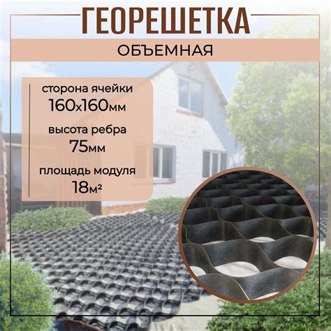Георешетка Объемная купить на OZON по низкой цене