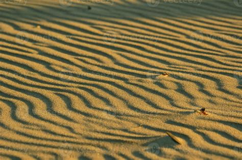 Sand Base Background 的图像结果