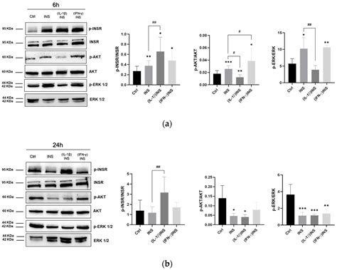 Morpho-Functional Responsiveness of Caco-2 Enterocyte-like Monolayers ...
