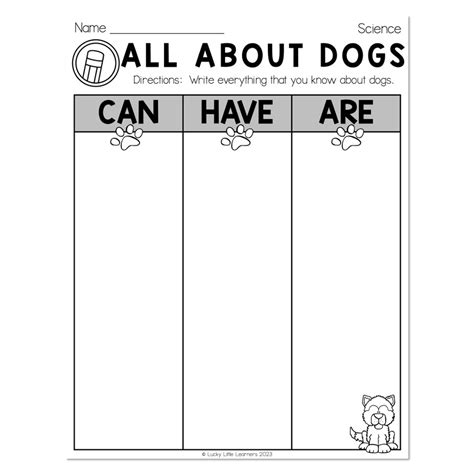 Dogs for 1st Graders Science 的图像结果