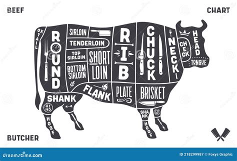 Cow, Beef. Scheme, Diagram, Chart Pork, Butcher Guide Stock Vector - Illustration of sirloin ...