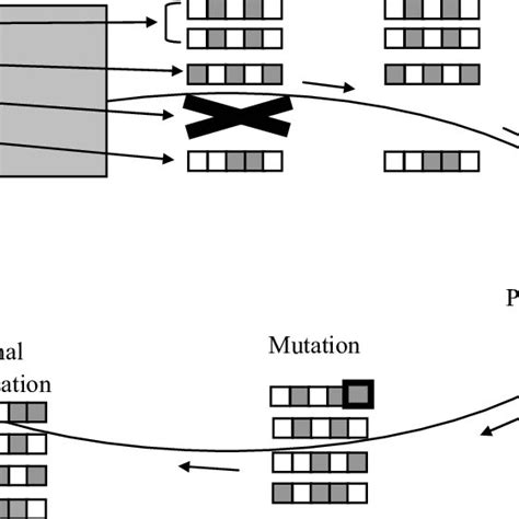 Image result for Algorithm Cycle