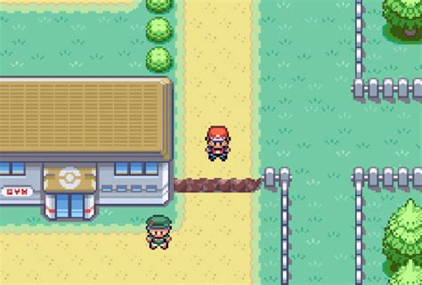 Image result for Move Relearner Radical Red