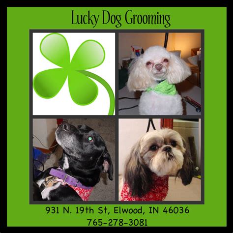 Lucky Dog Grooming: Grooming Price List