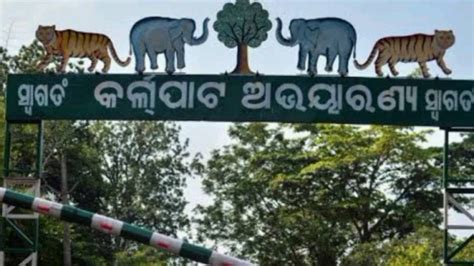 Karlapat Elephant Deaths Central Team Confirms Hemorrhagic Septicemia ...