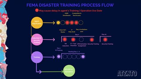 Image result for FEMA Process Flow