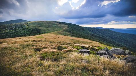 Appalachian Trail: Carvers Gap to US 19E - North Carolina | AllTrails
