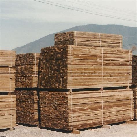 5" x 8" x 3.20mts pino impregnado bruto – Maderas Lifewood