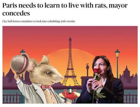 巴黎灭鼠多年依然灭不掉老鼠，市政府出新招：建议市民学会“与鼠共处”-荆楚网-湖北日报网
