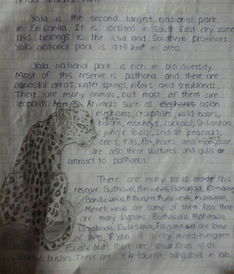 write a paragraph on the topic a great place to go - Brainly.in