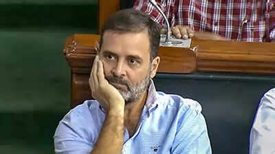 Congress had two reasons for not fielding Rahul Gandhi during no ...