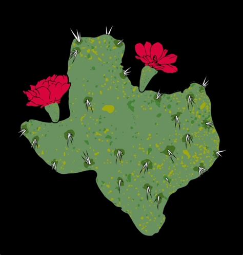 Toadies Celebrate 420 With New Edible Collab With Texas High Country ...