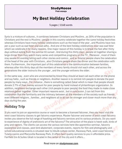 My Best Holiday Celebration Free Essay Example